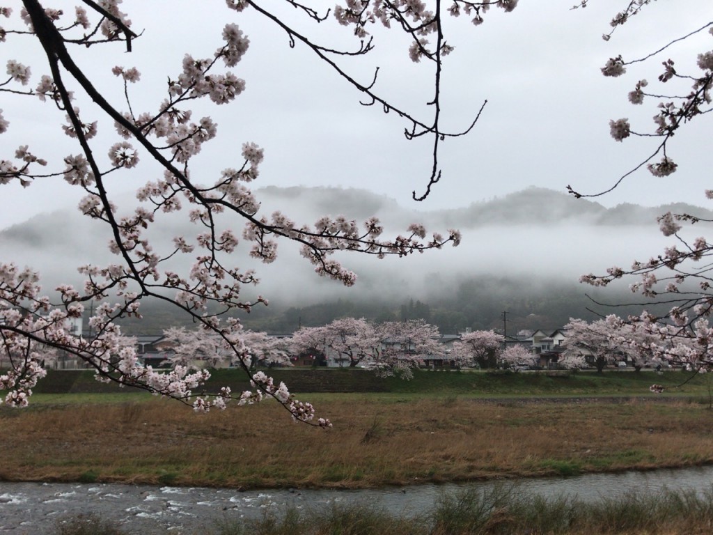 竹田城と桜４月８日
