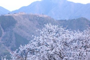 桜の時期に立雲峡から城を臨む